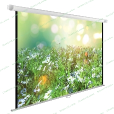 Экран Cactus 200x200 см WallExpert CS-PSWE-200x200-WT 1:1 настенно-потолочный рулонный