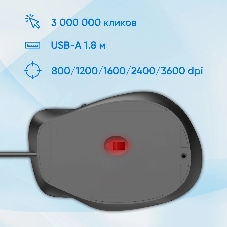 Мышь проводная Oklick 504M черный/серый, 3600 dpi, USB, кнопки - 6