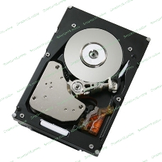 Жесткий диск IBM 300Gb 2Gbs FC E-DDM HDDS 1