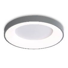 Потолочный светодиодный светильник Ambrella light FZ1402 GR серый IP20 48W 3000K-6500K D500*50 (ПДУ ИК)