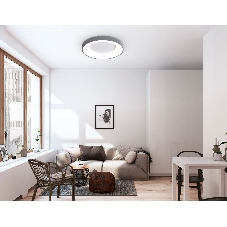 Потолочный светодиодный светильник Ambrella light FZ1402 GR серый IP20 48W 3000K-6500K D500*50 (ПДУ ИК)
