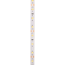 Лента светодиодная Rexant 12В, SMD2835, 9,6Вт/м, 60 LED/м, 6500K, 8мм, 5м, IP20