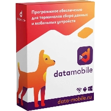 Программное обеспечение Неискл. право на исп-ие DataMobile версия Стандарт LifeTime (DM)