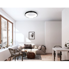 Потолочный светодиодный светильник Ambrella light FZ1403 BK черный IP20 48W 3000K-6500K D500*50 (ПДУ ИК)