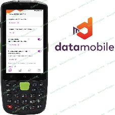 Программное обеспечение Неискл. право на исп-ие DataMobile версия Online Lite подписка на 12г (DMONLINELITE12M)