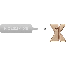 Шильд-символ Moleskine Zodiac Рыбы, металл, золотистый, коробка с европодвесом, PINPISCESGOLD