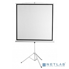 Экран 200x200см Digis Kontur-D DSKD-1106 1:1 напольный рулонный