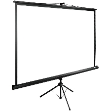 Экран Cactus 180x180 см TriExpert CS-PSTE-180x180-BK 1:1 напольный рулонный