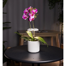 Светильник фито Cactus GARDEN светод. 7.5Вт цв.св.:белый (CS-LED-ORCHID)