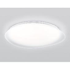 Светодиодный светильник Ambrella light FZ1615 FR матовый IP20 60W 3000-6500K+RGB 510*100 (ПДУ ИК)