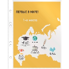 Папка-вкладыш Бюрократ Премиум -013A5T тисненые А5 40мкм (упаковка: 100 шт)