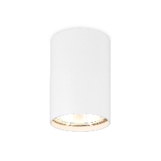 Светильник Ambrella light TN213101 WH белый GU5.3 D55*80