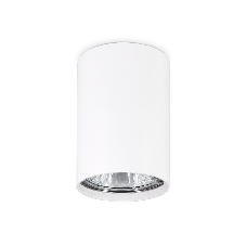 Светильник Ambrella light TN213101 WH белый GU5.3 D55*80