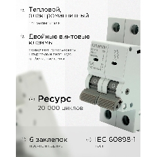 Автоматический выключатель Гарнизон CB-4763-2-50-4.5-C, ВА 47-63, 2P, 50А, 4.5кА (C)