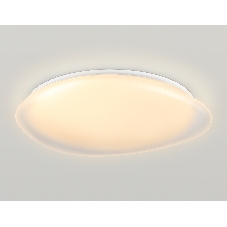 Светодиодный светильник Ambrella light FZ1615 FR матовый IP20 60W 3000-6500K+RGB 510*100 (ПДУ ИК)