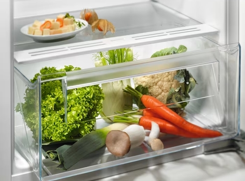 Встраиваемый холодильник Electrolux LRB3AE12S, механическое управление, полезный объем: 208 л, перенавешиваемые двери, 54.8x54.9x121.8 см, белый