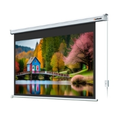 Экран с электроприводом Lumien Master Control 174х240 см (раб. область 130х232см) (104