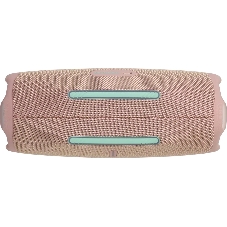 Портативная акустика JBLCHARGE6PINK розовый