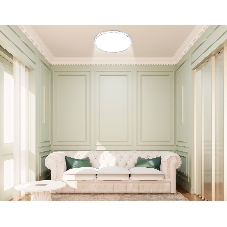 Потолочный светодиодный светильник Ambrella light FZ1701 WH белый IP20 20W 4200K 260*50 (Без ПДУ)