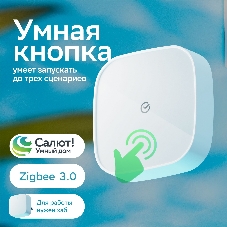 Умная кнопка СБЕР/SBER (SBDV-00032) 