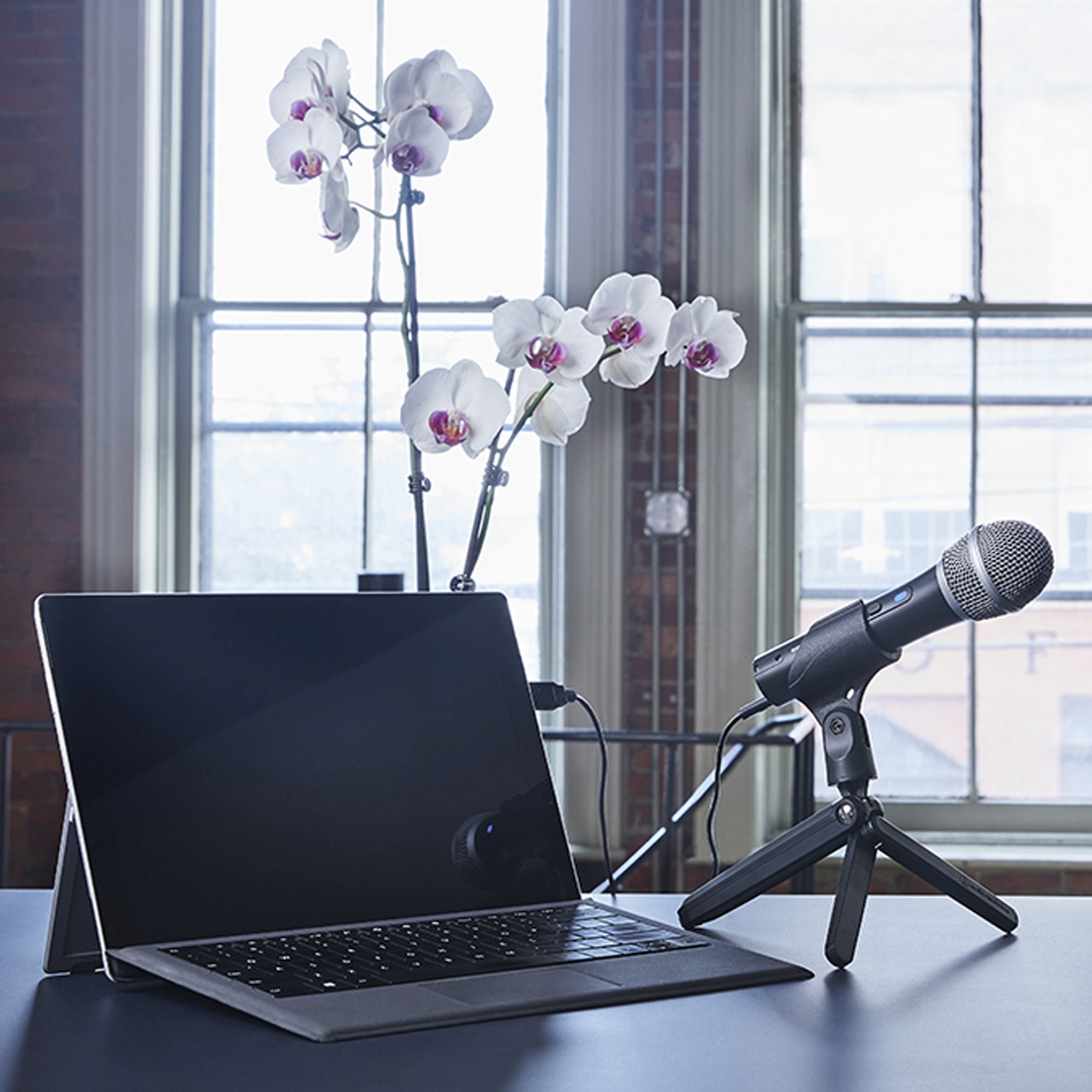 Микрофон проводной Audio-Technica ATR2100x 2м черный