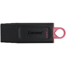 Флешка USB Kingston DataTraveler Exodia (DTX/256GB), 256Gb, USB 3.2 Gen 1, R/W 200/60, черный/розовый