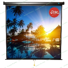 Экран 180x180см Wallscreen 1:1 настенно-потолочный рулонный черный 100'