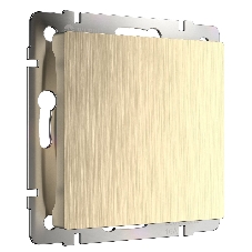Заглушка Werkel W1159210 (шампань рифленый)