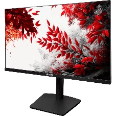Монитор RDW Computers 31.5