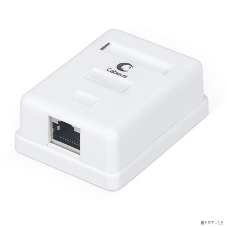 Розетка в сборе Cabeus, 1x RJ45(8P8C), кат. 6, экр., внешняя, белый, (WS-8P8C-Cat.6-SH-1)