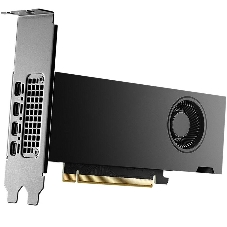 Видеокарта PNY RTX 2000 Ada Generation, 16 GB GDDR6, 128 bit, 4xMini DisplayPort, GPU 1620 MHz