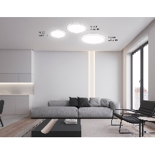Светильник светодиодный ультратонкий Ambrella light FZ1903 WH белый IP54 20W 3000K-6500K CCT-переключатель D300*25 (Без ПДУ)