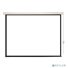 Экран с электроприводом Lumien Eco Control 183x244 см (раб. область 175х236 см) Matte White черная кайма по периметру 4:3