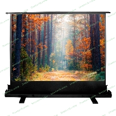 Экран Cactus 135x180 см FloorExpert CS-PSFLE-180X135 4:3 напольный рулонный