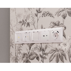 Комплект механизма электрической розетки ALFA Жемчуг 2USB A+A 18W (быстрая зарядка) с/з QUANT (AP2090, VM155) MA209010
