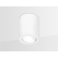 Светильник Ambrella light TN225 WH белый GU5.3 D80*100