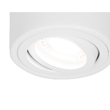 Светильник Ambrella light TN225 WH белый GU5.3 D80*100