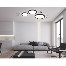 Светильник светодиодный ультратонкий Ambrella light FZ1904 BK черный IP54 20W 3000K-6500K CCT-переключатель D300*25 (Без ПДУ)