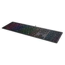 Клавиатура проводная A4Tech Fstyler FX60, USB, серый