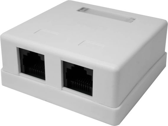 Розетка компьютерная 2-м 8P8C (RJ-45) UTP кат.5E SUPRLAN 10-0309