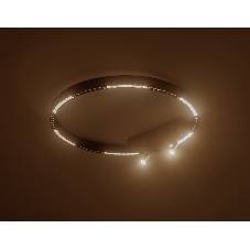 Потолочный светодиодный светильник Ambrella light FL5808/1+2 BK черный 40W 3000K/4200K/6400K D600*95 (без ПДУ)