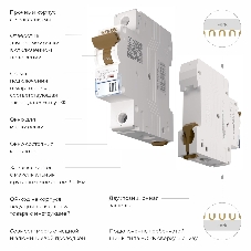 Автоматический выключатель Werkel 1P 16A C 6 кА W901P166