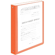 Папка панорама на 4-х кольцах Бюрократ Double Neon DNE0740/4ROR A4 пластик 0.7мм кор.40мм карм.на лиц.стор. оранжевый