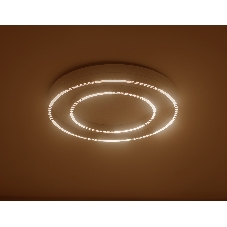 Потолочный светодиодный светильник Ambrella light FL5821 WH белый 55W 3000K/4200K/6400K D600*75 (без ПДУ)