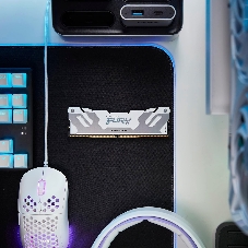 Оперативная память Kingston Fury Renegade, DDR5, 64Gb (2x32Gb), 6400MHz, CL32, радиатор, белый