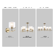 Настенный светильник Ambrella light LH57010 BS/FR латунь/белый матовый E14 max 40W 280*150*220