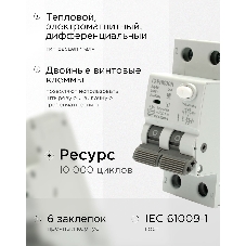 Автоматический выключатель дифференциального тока Гарнизон RCBO-50-2-50-4.5- C-100-S, АД-50 (селективный) 1P+N 50А/100мА, 4.5кА (C, тип АС)