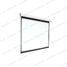 Экран 168x300см Digis Electra-F DSEF-16906 16:9 настенно-потолочный рулонный (моторизованный привод)
