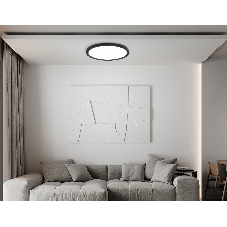 Светильник светодиодный ультратонкий Ambrella light FZ1908 BK черный IP54 35W 3000K-6500K CCT-переключатель D450*25 (Без ПДУ)
