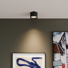 Накладной светильник Banti 13W 4200K черный (25123/LED)